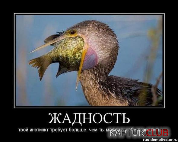 826afed0218412bb4f5a92c6db0_prev.jpg | Рено Каптур Клуб Россия | Форум KAPTUR.SU