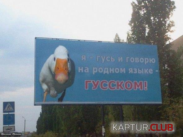 827b661bdd5013e391add92f02e_prev.jpg | Рено Каптур Клуб Россия | Форум KAPTUR.SU