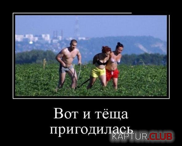 82a97ea42fdd3ff3a12b2ce4a9c_prev.jpg | Рено Каптур Клуб Россия | Форум KAPTUR.SU