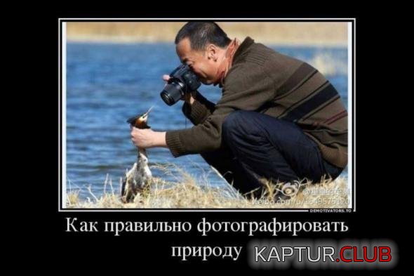 82f572b30fae50361b53197abb9_prev.jpg | Рено Каптур Клуб Россия | Форум KAPTUR.SU