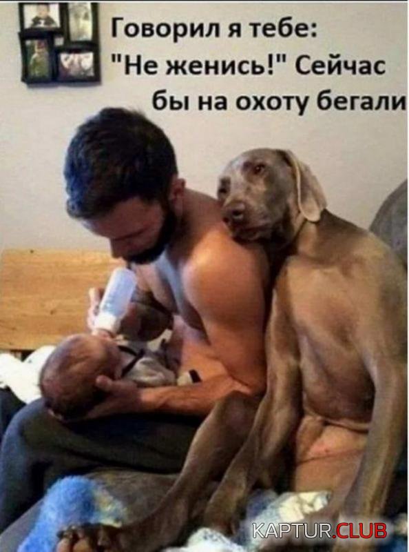 830167325dfe23a8512e45f790d_prev.jpg | Рено Каптур Клуб Россия | Форум KAPTUR.SU