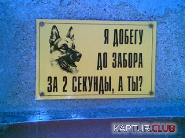 8433315642baff7c7cab214d892_prev.jpg | Рено Каптур Клуб Россия | Форум KAPTUR.SU