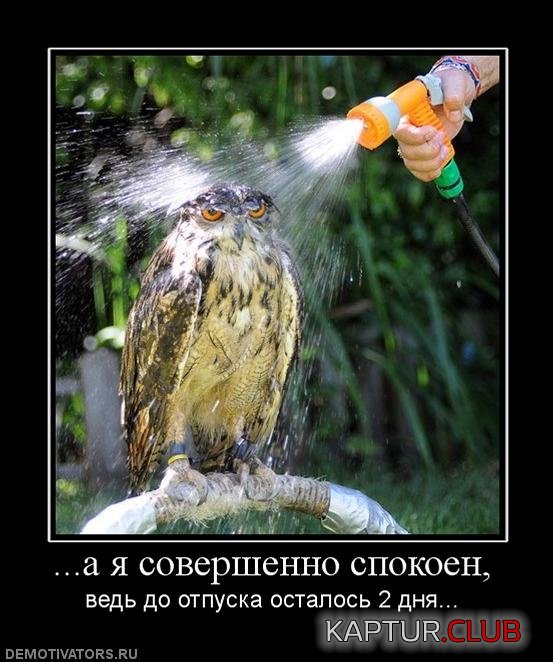 84344a310bf9dfa4f413e24a11f.jpg | Рено Каптур Клуб Россия | Форум KAPTUR.SU