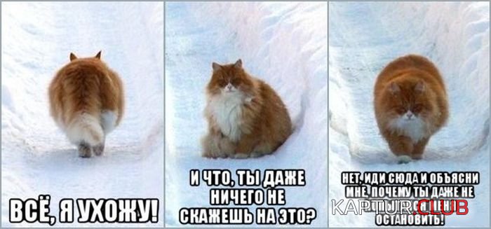 84388014_19d269902dc6a4b41c38070b831fdca3_800.jpg | Рено Каптур Клуб Россия | Форум KAPTUR.SU