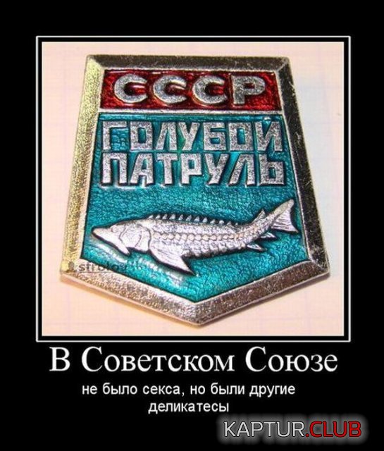 846d14b4343d5a66c4a265add88.jpg | Рено Каптур Клуб Россия | Форум KAPTUR.SU