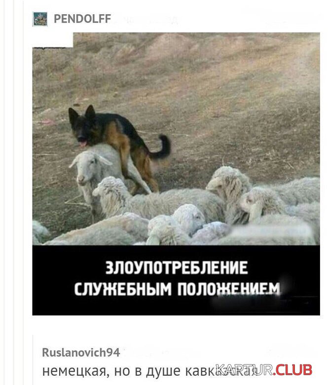 8528c4813306acd487662306ac6.jpg | Рено Каптур Клуб Россия | Форум KAPTUR.SU