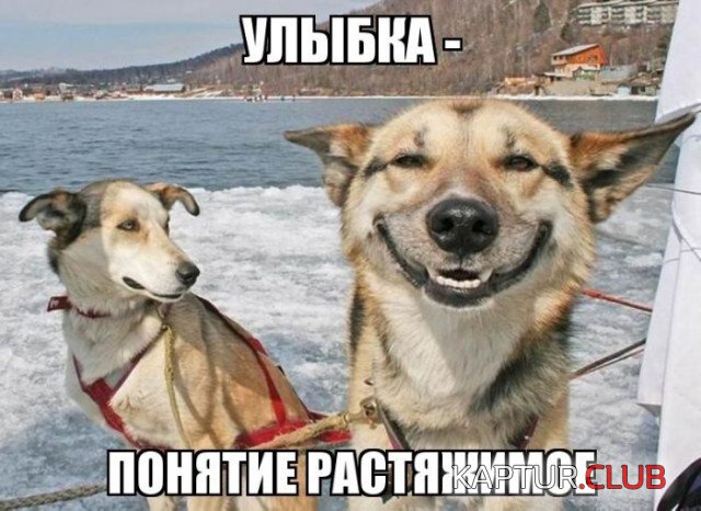 8545dd6472e02dade664927e67e.jpg | Рено Каптур Клуб Россия | Форум KAPTUR.SU