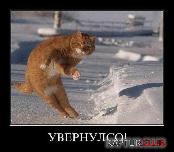 85625958ee9c9d32f32959b0399_prev.jpg | Рено Каптур Клуб Россия | Форум KAPTUR.SU