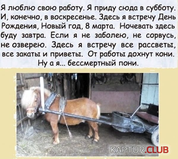 8750edf81caa5d9d63e2619a372.jpg | Рено Каптур Клуб Россия | Форум KAPTUR.SU