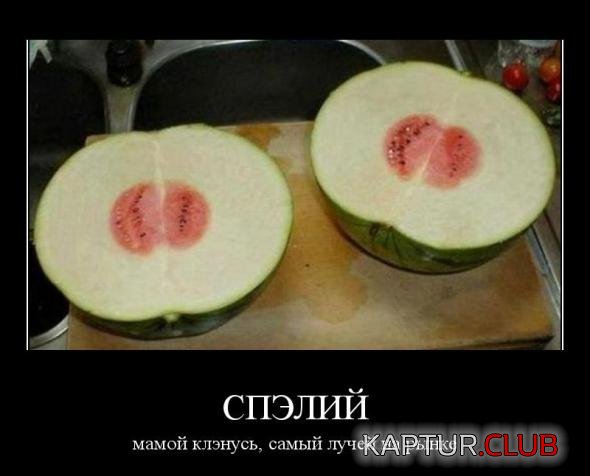 877e82a5dd382190c40d17a2fe7_prev.jpg | Рено Каптур Клуб Россия | Форум KAPTUR.SU