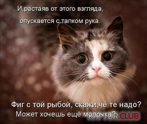88294248_2.jpg | Рено Каптур Клуб Россия | Форум KAPTUR.SU