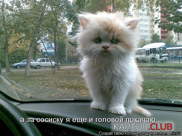 88294256_9.jpg | Рено Каптур Клуб Россия | Форум KAPTUR.SU