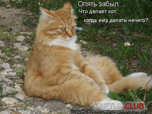 88294257_10.jpg | Рено Каптур Клуб Россия | Форум KAPTUR.SU
