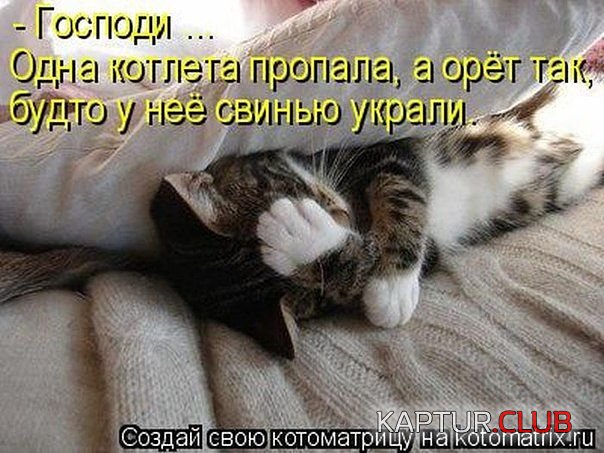 88294625_13.jpg | Рено Каптур Клуб Россия | Форум KAPTUR.SU