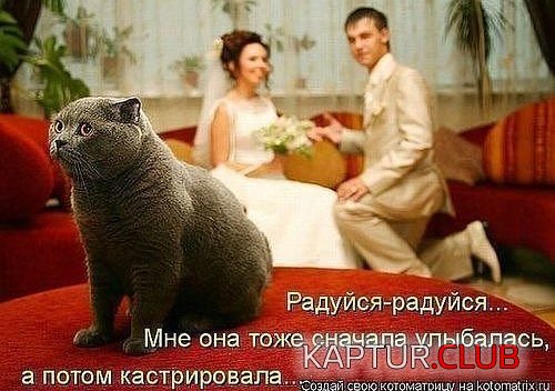 88294626_14.jpg | Рено Каптур Клуб Россия | Форум KAPTUR.SU