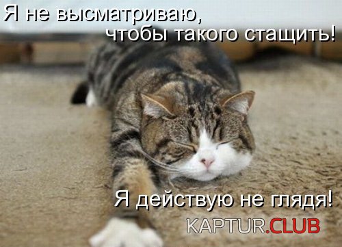 88294630_18.jpg | Рено Каптур Клуб Россия | Форум KAPTUR.SU