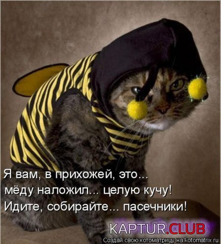 88294632_21.jpg | Рено Каптур Клуб Россия | Форум KAPTUR.SU