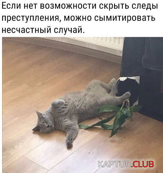 8888.png | Рено Каптур Клуб Россия | Форум KAPTUR.SU