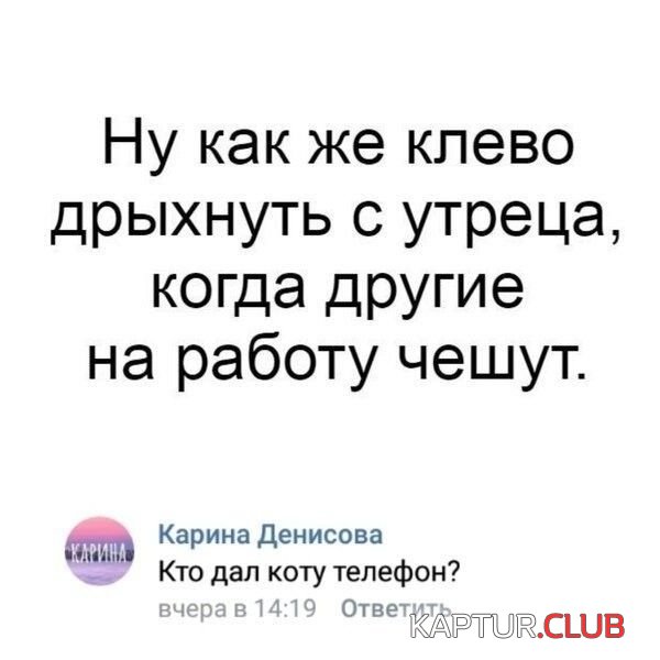88d0f0867ff9a41c53991e2f601.jpg | Рено Каптур Клуб Россия | Форум KAPTUR.SU