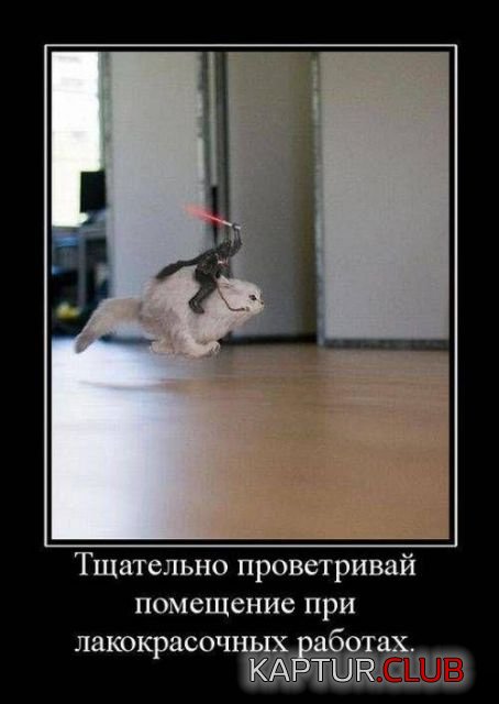 8919f27c78a5f4901f375806587.jpg | Рено Каптур Клуб Россия | Форум KAPTUR.SU