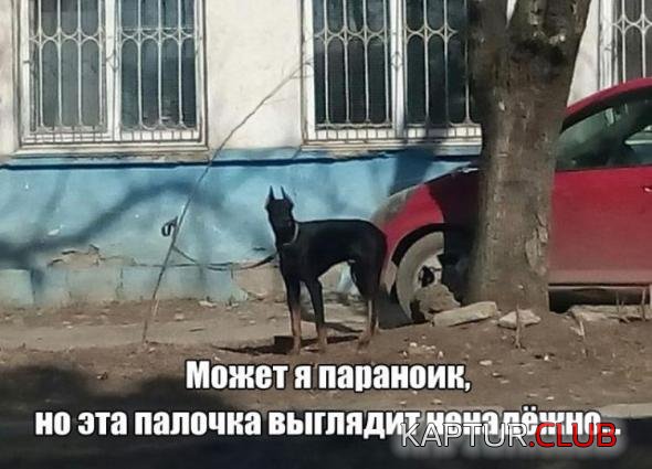 89417bb5b7a87dbfff6095fc9ad_prev.jpg | Рено Каптур Клуб Россия | Форум KAPTUR.SU