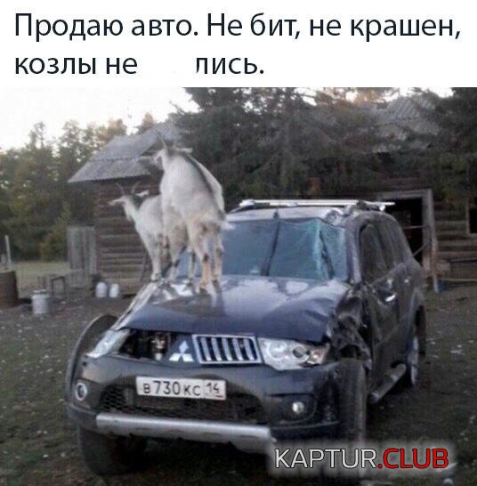 8976b92e06f9e63b2729f742f11.jpg | Рено Каптур Клуб Россия | Форум KAPTUR.SU