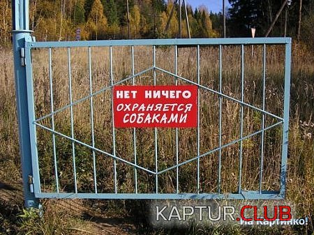 89cf958f9e0a5646249b4a4f97a.jpg | Рено Каптур Клуб Россия | Форум KAPTUR.SU