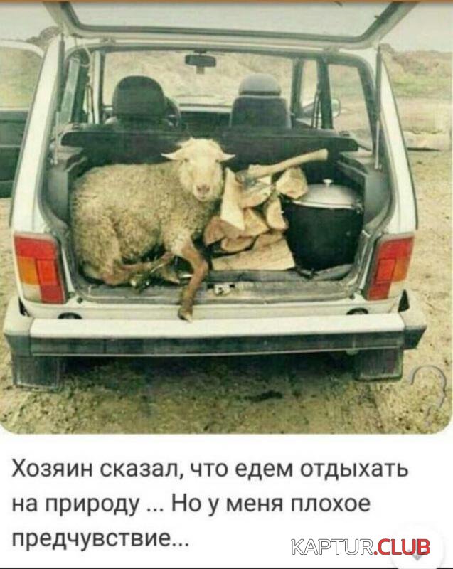 8a493cf21c2fb3ebdf75384c7b8_prev.jpg | Рено Каптур Клуб Россия | Форум KAPTUR.SU