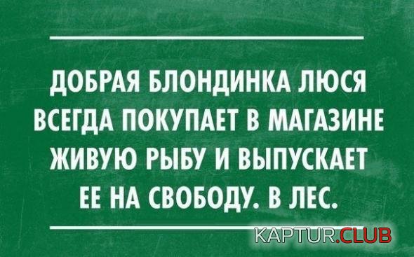 8a57b001998d7214a0cea13fa32_prev.jpg | Рено Каптур Клуб Россия | Форум KAPTUR.SU