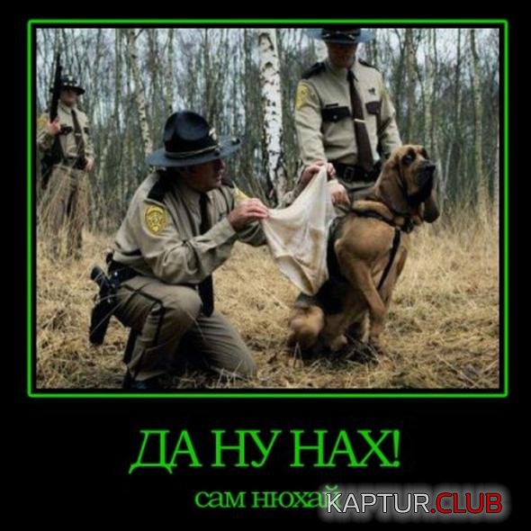 8aa1fa4f02f910f9d21e7818a4b_prev.jpg | Рено Каптур Клуб Россия | Форум KAPTUR.SU