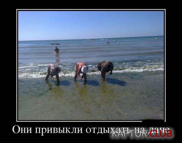 8ac9a5dba7c2af0a38e3a8ae318_prev.jpg | Рено Каптур Клуб Россия | Форум KAPTUR.SU