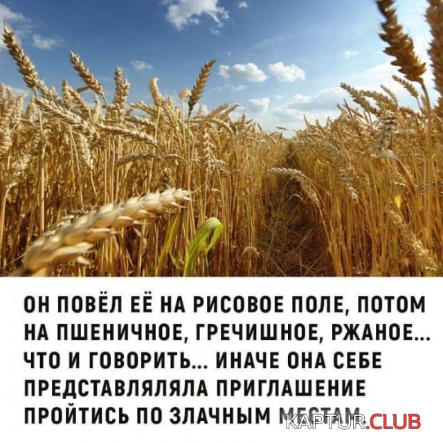 8b80aaefaa37e1f1f35d1617cbe.jpg | Рено Каптур Клуб Россия | Форум KAPTUR.SU