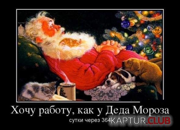8bf725e7cbc107b0b244b39e9a7_prev.jpg | Рено Каптур Клуб Россия | Форум KAPTUR.SU
