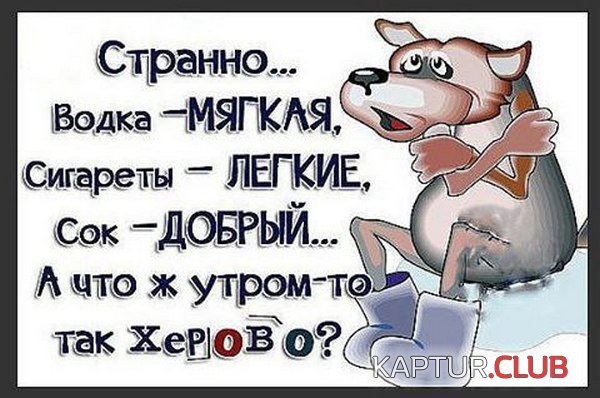 8c597807436494bad4731a5fe60.jpg | Рено Каптур Клуб Россия | Форум KAPTUR.SU