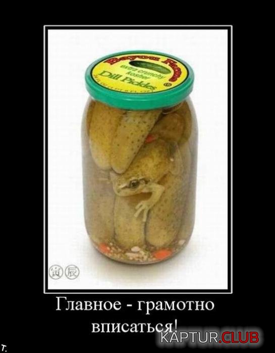 8c74d360eaa4087cd448403ff63_prev.jpg | Рено Каптур Клуб Россия | Форум KAPTUR.SU