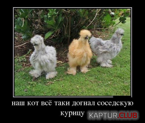 8c966c4095f28f2b16e452626c5_prev.jpg | Рено Каптур Клуб Россия | Форум KAPTUR.SU