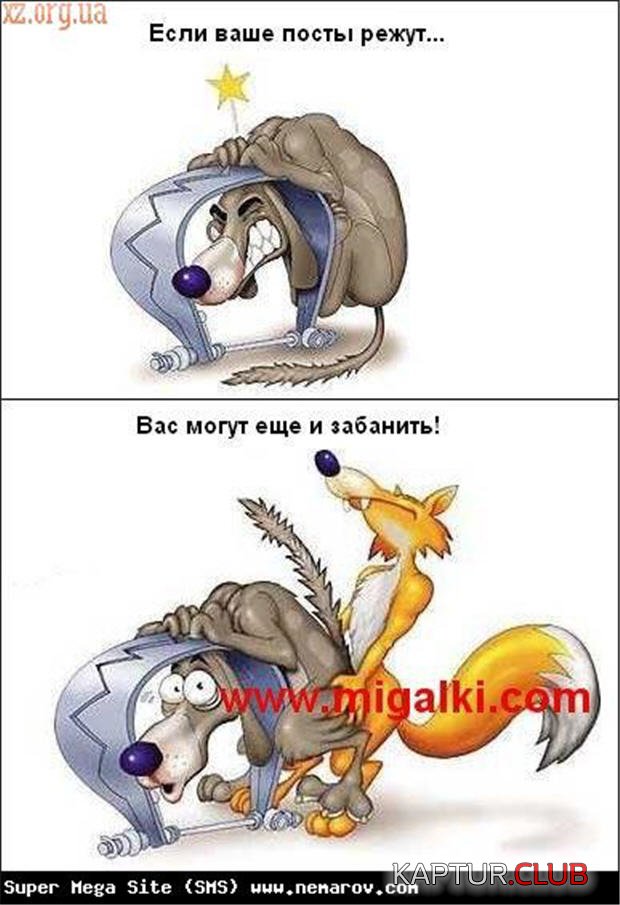 8c98f068ad914b91c448abbaedad02e4_full.jpg | Рено Каптур Клуб Россия | Форум KAPTUR.SU