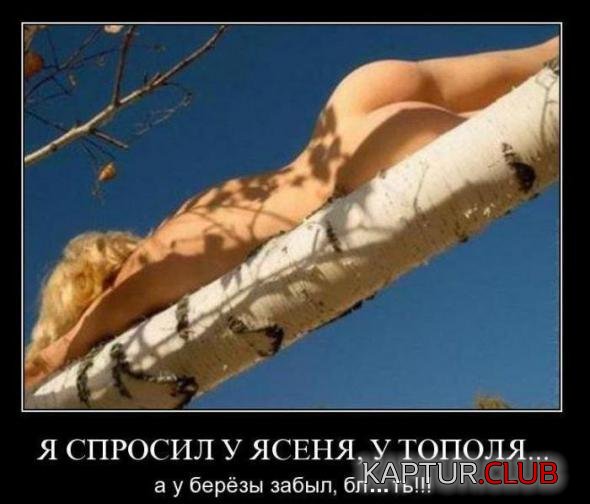 8c9e4d84ff5138bfd8c0aa12427_prev.jpg | Рено Каптур Клуб Россия | Форум KAPTUR.SU