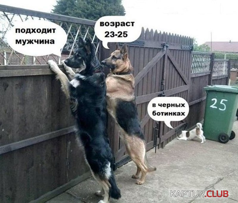 8cc3461b630e51017a3f072eff8.jpg | Рено Каптур Клуб Россия | Форум KAPTUR.SU