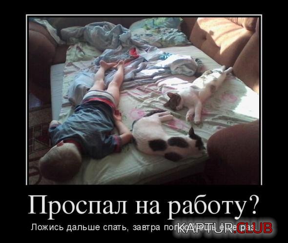 8cf72243b20a7ab5c1e45e90a1d_prev.jpg | Рено Каптур Клуб Россия | Форум KAPTUR.SU