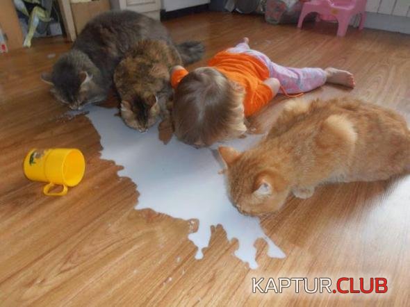 8d20ed7c446447dab8026892940_prev.jpg | Рено Каптур Клуб Россия | Форум KAPTUR.SU