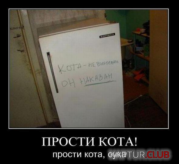 8d619b34be0aabf7d52bb633cdd_prev.jpg | Рено Каптур Клуб Россия | Форум KAPTUR.SU