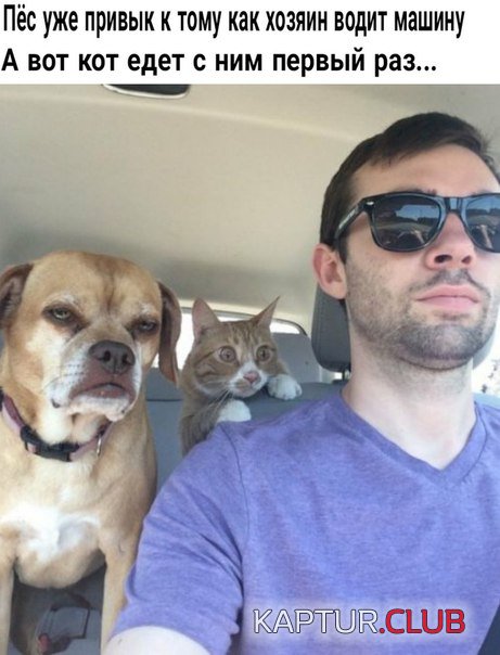 8d95b98a7bd5e88c776b4b2b9b0.jpg | Рено Каптур Клуб Россия | Форум KAPTUR.SU