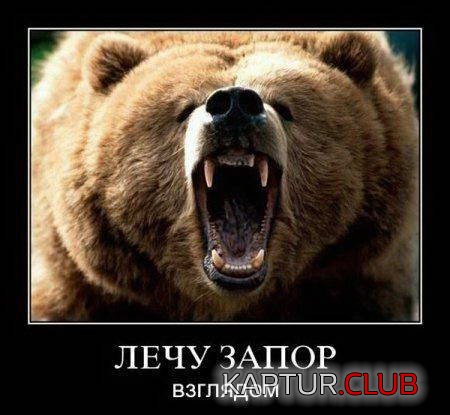 8de556b350f3cee475c6ad72862.jpg | Рено Каптур Клуб Россия | Форум KAPTUR.SU
