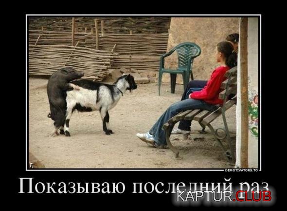 8e2b109dd98b500d9b34cf2bc72_prev.jpg | Рено Каптур Клуб Россия | Форум KAPTUR.SU