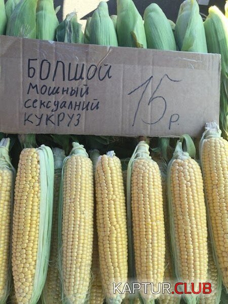 8e3a56ab2787aa5f0cafc9bd696.jpg | Рено Каптур Клуб Россия | Форум KAPTUR.SU