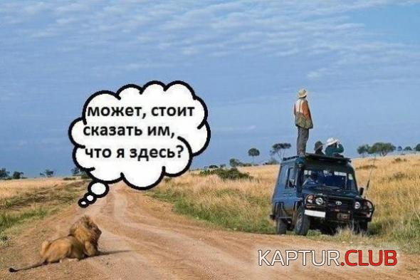 8e4862c922dd4fc7a66a4eb8f2e_prev.jpg | Рено Каптур Клуб Россия | Форум KAPTUR.SU