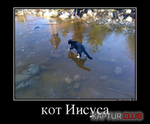 8e562a7fe9a8050f7918b685add_prev.jpg | Рено Каптур Клуб Россия | Форум KAPTUR.SU