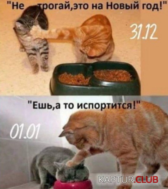 8e80894ec36a0d624bfb8a14234.jpg | Рено Каптур Клуб Россия | Форум KAPTUR.SU