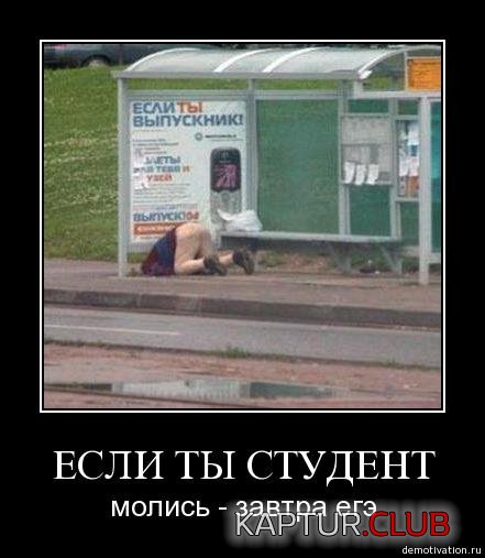 8f3fd9ff27dcbffb91c3597c7c2.jpg | Рено Каптур Клуб Россия | Форум KAPTUR.SU